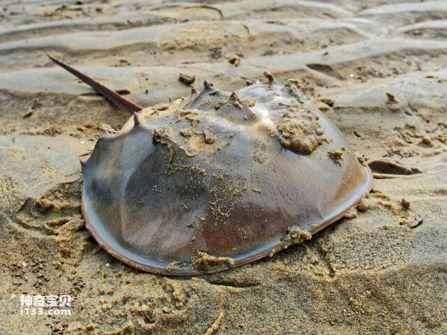 2023041412127457.jpg 2.jpg