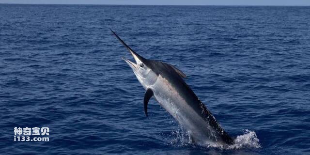 2023041412155627.jpg 11.jpg