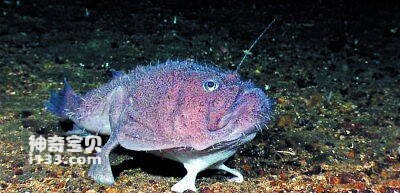 2023041414248735.jpg 4.jpg