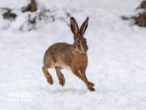 2023041415075449.jpg 4.jpg