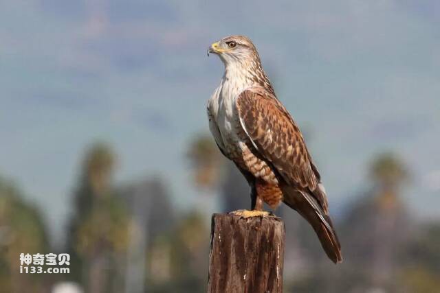 2023041415178356.jpg 21.jpg