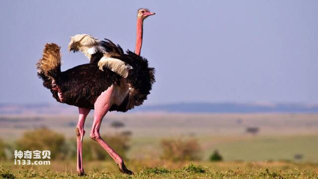 2023041415489501.jpg 12.jpg