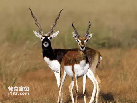 2023041416335097.jpg 3.jpg