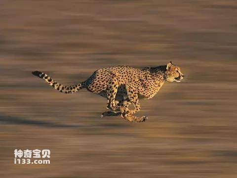 2023041416438892.jpg 14.jpg