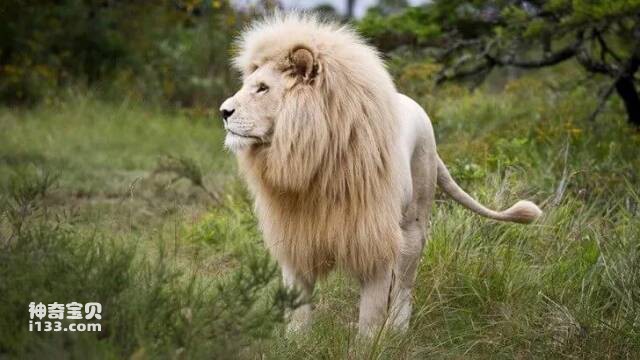 2023041416938098.jpg 5.jpg