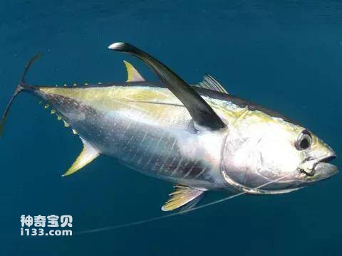 2023041418266986.jpg 2.jpg