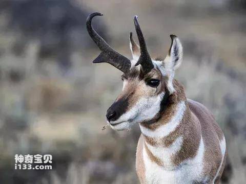 2023041419116011.jpg 9.jpg