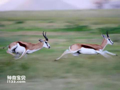 2023041420230536.jpg 8.jpg