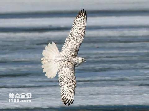 2023041422217830.jpg 17.jpg