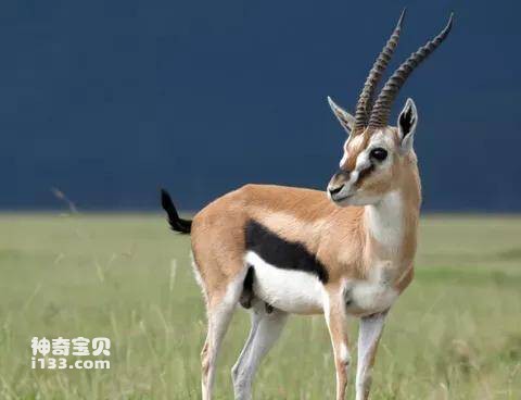 2023041434168605.jpg 7.jpg