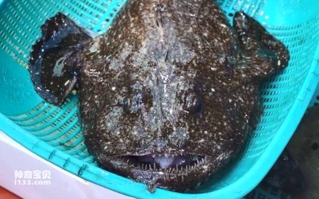 2023041436975011.jpg 3.jpg