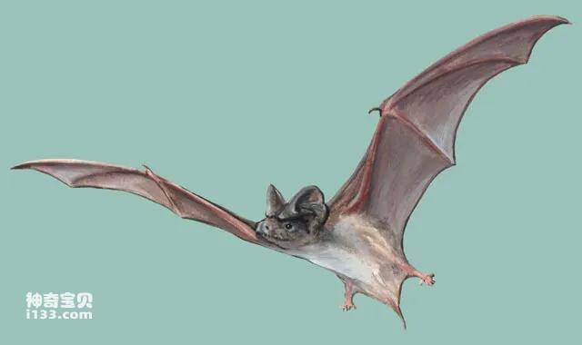 2023041438352000.jpg 15.jpg