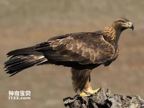 2023041498147764.jpg 19.jpg