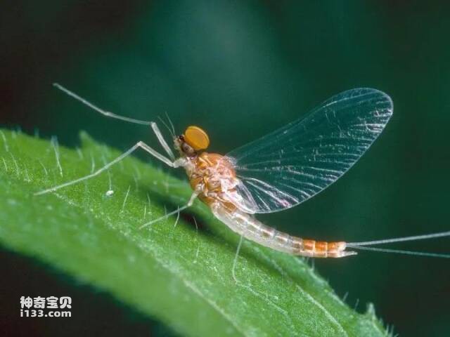 2023041512209969.jpg 15.jpg