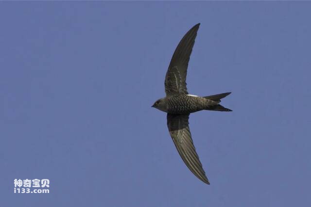 2023041512350205.jpg 10.jpg