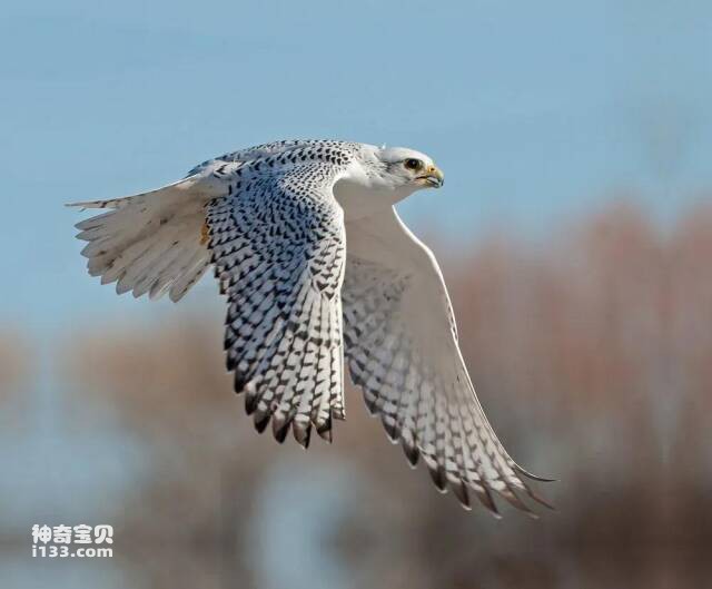 2023041513087484.jpg 7.jpg