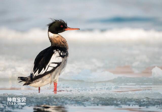 2023041513995840.jpg 3.jpg