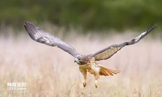 2023041514232629.jpg 6.jpg