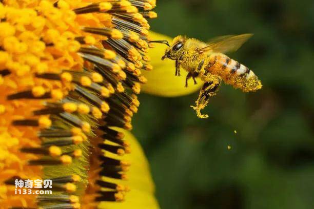 2023041516478723.jpg 4.jpg