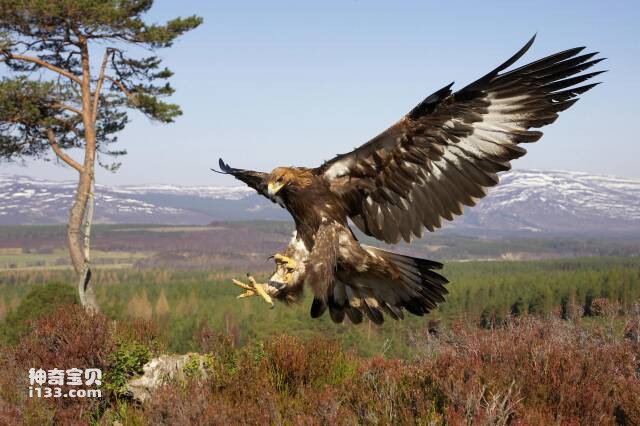 2023041517795157.jpg 8.jpg