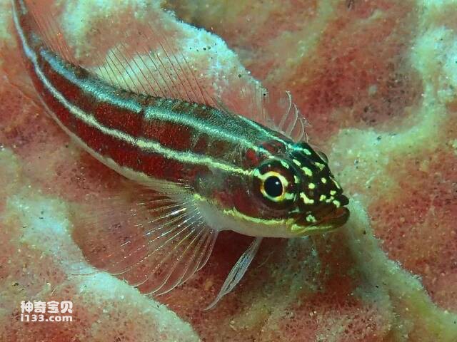 2023041519501112.jpg 5.jpg