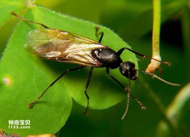 2023041519914814.jpg 9.jpg