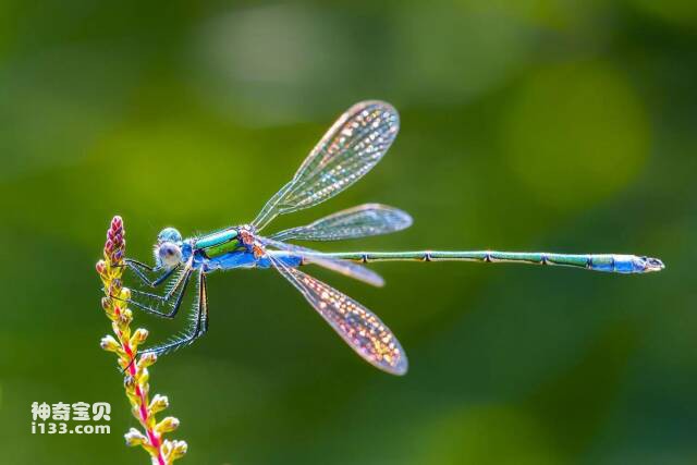 2023041519981362.jpg 3.jpg