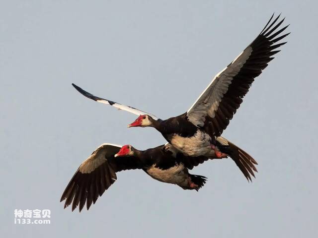 2023041521183455.jpg 4.jpg