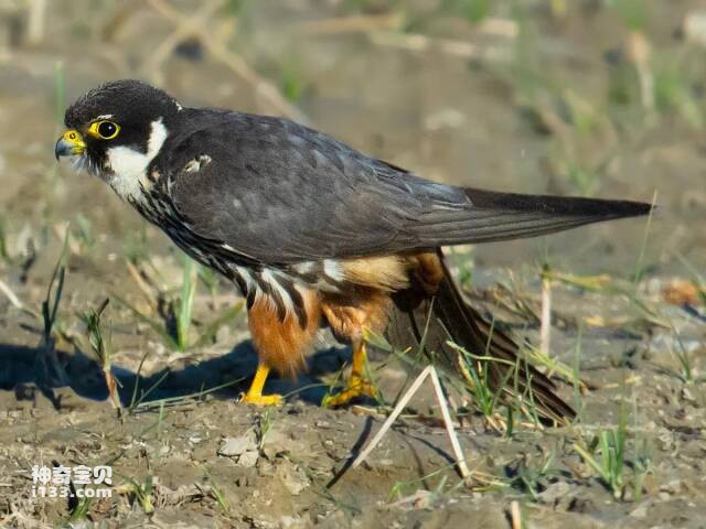 2023041544852044.jpg 5.jpg