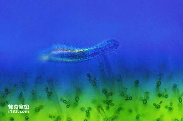 2023041576179634.jpg 14.jpg