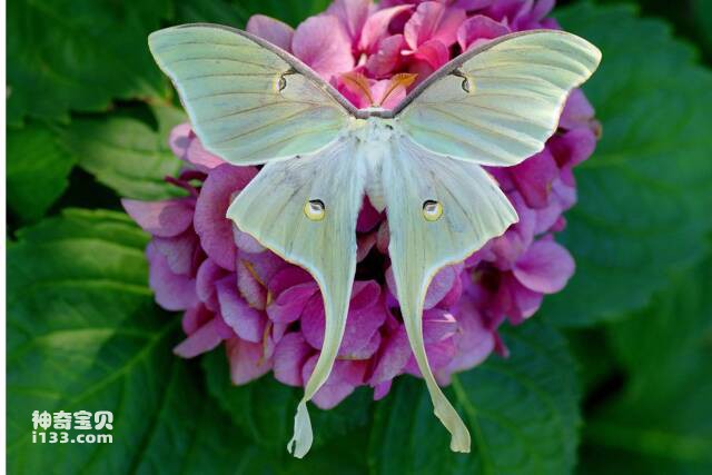 2023041578034754.jpg 13.jpg