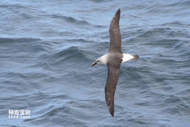 2023041597111264.jpg 2.jpg