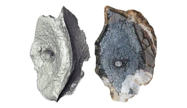 2023042616512251.jpg 2(1).jpg