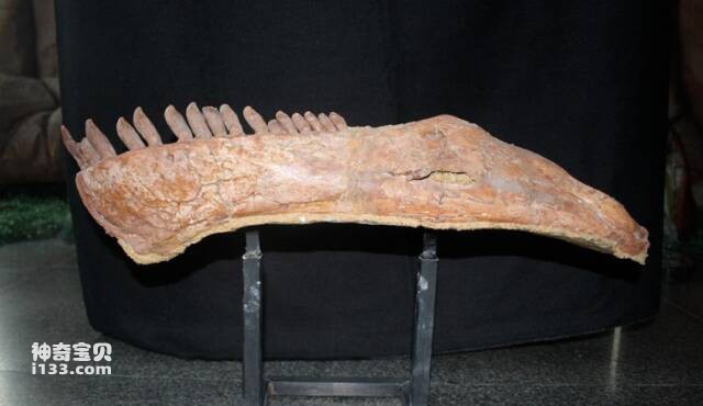 2023042647945040.jpg 1(1).jpg