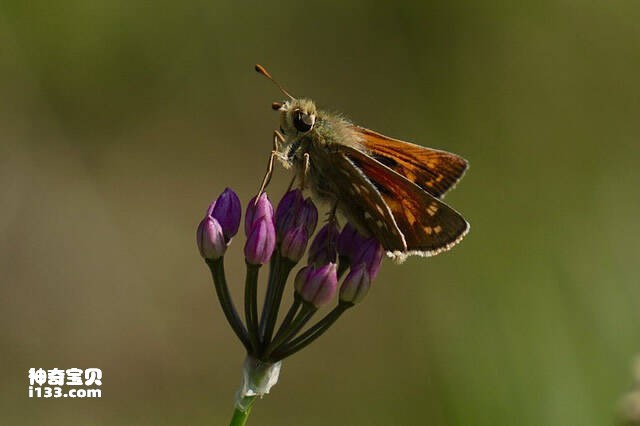 2023042810378073.jpg 1.jpg