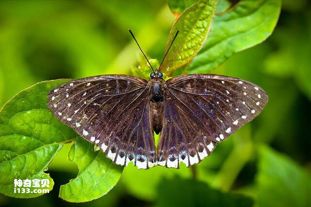 2023042810641131.jpg 2.jpg