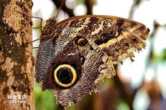 2023042814939860.jpg 4.jpg