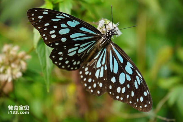 2023042817144556.jpg 8.jpg