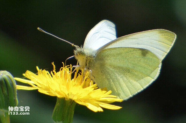 2023042821432132.jpg 5.jpg