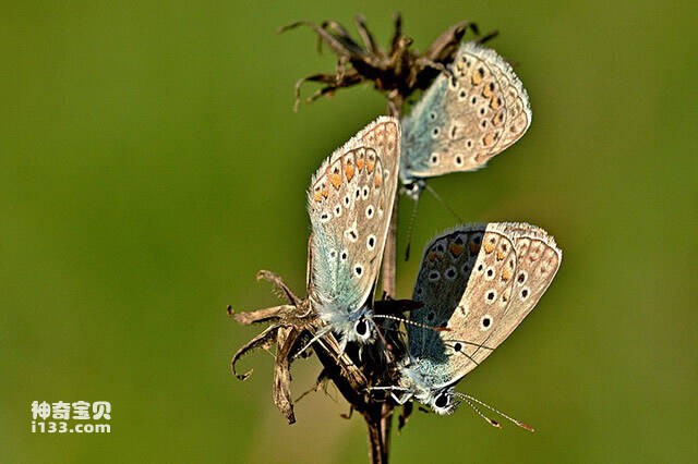 2023042836535293.jpg 3.jpg