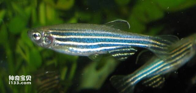 2023042910882249.jpg 7.jpg