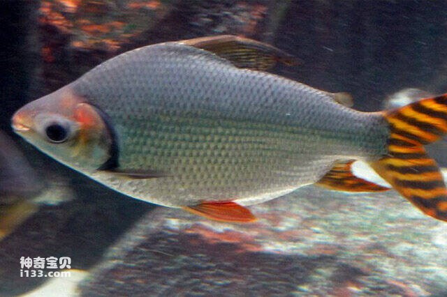 2023042911430315.jpg 8.jpg