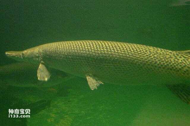 2023042917177538.jpg 7.jpg