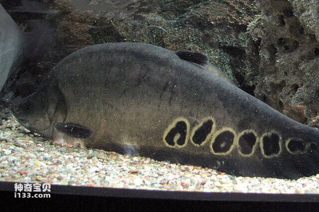 2023042922488791.jpg 2.jpg