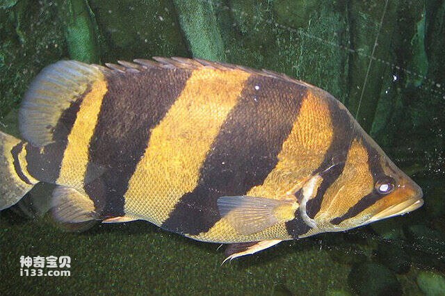 2023042923434925.jpg 9.jpg