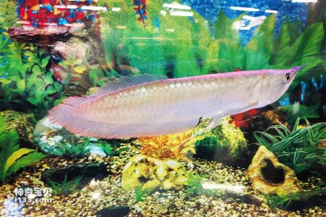 2023042938913528.jpg 6.jpg