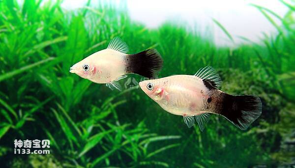 2023042945574081.jpg 8.jpg