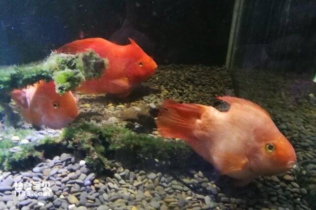 2023042966999961.jpg 5.jpg