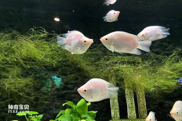 2023042972908875.jpg 2.jpg