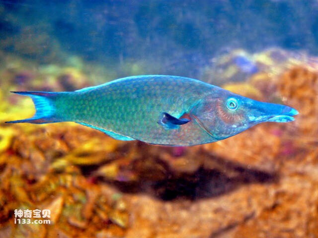 2023043010060435.jpg 5.jpg